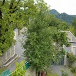 Kirayə (günlük) 4 otaqlı Həyət evi/villa Qəbələ 5