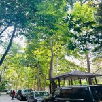 Satılır 2 otaqlı Köhnə Tikili, Gənclik metrosu, Montin qəs., Nərimanov rayonu 19