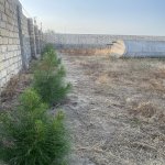 Satılır Torpaq, Nardaran qəs., Sea Breeze, Sabunçu rayonu 21
