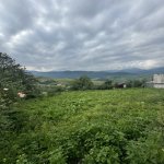 Kirayə (günlük) 7 otaqlı Həyət evi/villa Gədəbəy 8