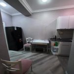 Satılır 3 otaqlı Yeni Tikili, Qara Qarayev metrosu, Nizami rayonu 6