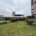 Продажа 2 комнатная Новостройка, м. 8 Ноябрь метро, Насими район 21