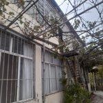 Satılır 6 otaqlı Bağ evi, Novxanı, Abşeron rayonu 21