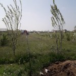 Satılır Torpaq Quba 4