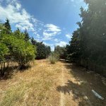 Satılır Torpaq, Bilgəh qəs., Sabunçu rayonu 1