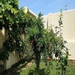 Satılır 3 otaqlı Bağ evi, Şüvəlan, Xəzər rayonu 5
