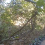 Satılır 8 otaqlı Həyət evi/villa, Xocaəsən metrosu, Xocəsən qəs., Binəqədi rayonu 18