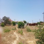 Satılır 1 otaqlı Bağ evi, Pirşağı qəs., Sabunçu rayonu 2