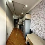 Kirayə (aylıq) 1 otaqlı Yeni Tikili, Gənclik metrosu, Nərimanov rayonu 12