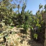 Satılır 5 otaqlı Həyət evi/villa, Saray, Abşeron rayonu 7