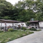 Kirayə (günlük) 3 otaqlı Həyət evi/villa Qax 4