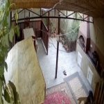 Satılır 2 otaqlı Həyət evi/villa, Avtovağzal metrosu, Biləcəri qəs., Binəqədi rayonu 6