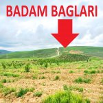 Продажа Участок Шамаха 1