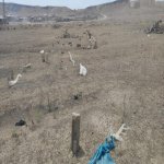 Satılır Torpaq, Güzdək, Abşeron rayonu 3