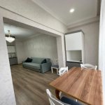 Kirayə (aylıq) 2 otaqlı Yeni Tikili, Nəriman Nərimanov metrosu, Nərimanov rayonu 2