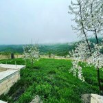 Satılır 5 otaqlı Həyət evi/villa Quba 8