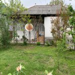 Kirayə (aylıq) 1 otaqlı Həyət evi/villa Oğuz 22