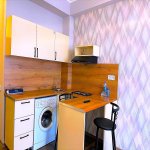 Kirayə (aylıq) 1 otaqlı Yeni Tikili, 20 Yanvar metrosu, Yasamal qəs., Yasamal rayonu 8