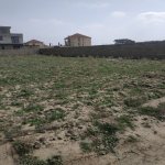 Satılır Torpaq, Goradil, Abşeron rayonu 4