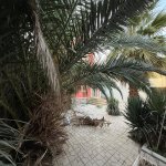 Продажа 3 комнатная Дома/Виллы, пос. Маштага, Сабунчу район 3