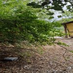 Satılır 3 otaqlı Həyət evi/villa Tərtər 8