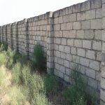 Satılır Torpaq, Novxanı, Abşeron rayonu 5
