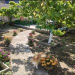 Satılır 4 otaqlı Həyət evi/villa, Buzovna, Xəzər rayonu 2
