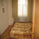 Kirayə (aylıq) 3 otaqlı Yeni Tikili, 28 May metrosu, Nəsimi rayonu 10
