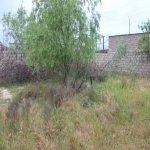 Satılır 6 otaqlı Həyət evi/villa, Zabrat qəs., Sabunçu rayonu 20