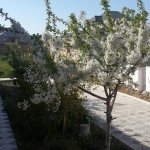 Satılır 5 otaqlı Bağ evi, Saray, Abşeron rayonu 9