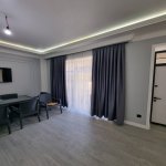 Kirayə (günlük) 4 otaqlı Bağ evi İsmayıllı 12