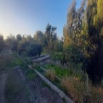 Satılır Torpaq, Goradil, Abşeron rayonu 3