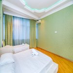 Kirayə (aylıq) 2 otaqlı Yeni Tikili, 28 May metrosu, Nəsimi rayonu 8