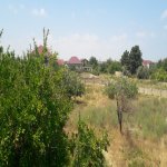 Satılır 2 otaqlı Bağ evi, Saray, Abşeron rayonu 4