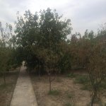 Satılır 4 otaqlı Bağ evi, Goradil, Abşeron rayonu 9