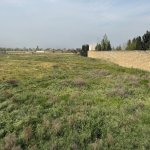 Продажа Участок, пос. Нардаран, Сабунчу район 3