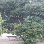 Satılır 2 otaqlı Bağ evi, Fatmayi, Abşeron rayonu 3