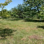Satılır Torpaq, Novxanı, Abşeron rayonu 3