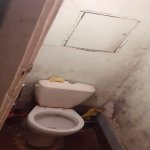 Аренда 2 комнат Вторичка, м. Автовокзал метро, 5-ый микрорайон, Насими район 20