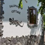 Kirayə (günlük) 1 otaqlı Bağ evi Zaqatala 10