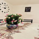 Kirayə (günlük) 4 otaqlı Bağ evi İsmayıllı 7