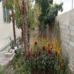 Satılır 4 otaqlı Həyət evi/villa Mingəçevir 11