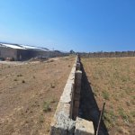Satılır Torpaq, Novxanı, Abşeron rayonu 12