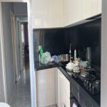Kirayə (aylıq) 3 otaqlı Yeni Tikili, Gənclik metrosu, Ayna Sultanova heykəli, Nərimanov rayonu 8