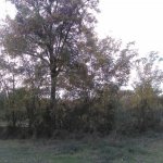 Продажа Участок Гябяля 4