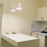 Kirayə (günlük) 1 otaqlı Yeni Tikili, Nəriman Nərimanov metrosu, Nərimanov rayonu 4