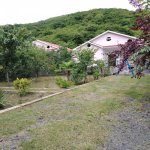 Kirayə (günlük) 4 otaqlı Həyət evi/villa Qax 15