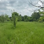 Satılır Torpaq İsmayıllı 2