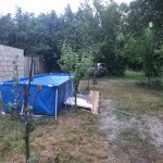 Kirayə (günlük) 3 otaqlı Həyət evi/villa Qəbələ 18