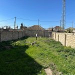 Satılır Torpaq, Novxanı, Abşeron rayonu 2